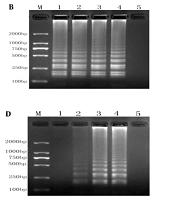Jundishapur J Microbiol